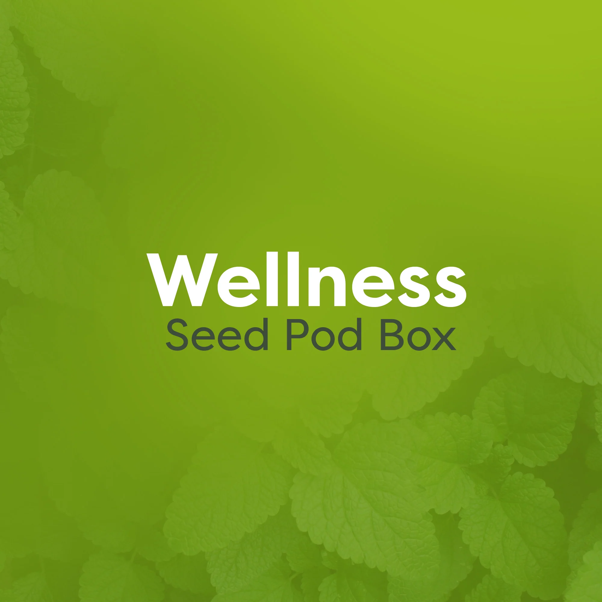 Curated Seed Pod Boxes